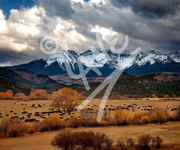 COLORADO Ridgeway